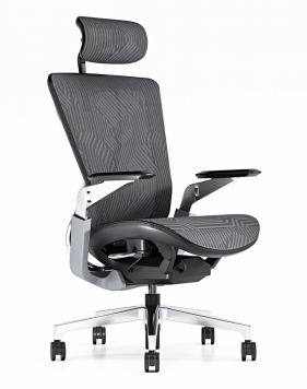 Endurance Black Super Ergonomic Mesh Chair