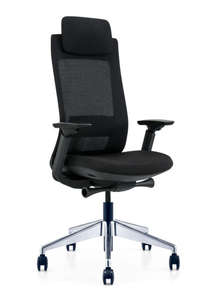 EVL Black Ergonomic Chair